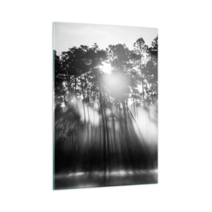 Obraz na szkle - Czarno-białe drzewa w lesie z promieniami słońca w mgiełce - 50x70cm - Niepowstrzymane słońce - Nowoczesna dekoracja ścienna do salonu, kuchni i sypialni ARTTOR