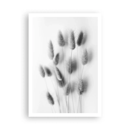 Plakat - Jej puszystość trawa - 70x100 cm