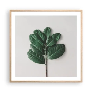 Plakat w ramie jasny dąb - Rysunek samej natury - 60x60 cm