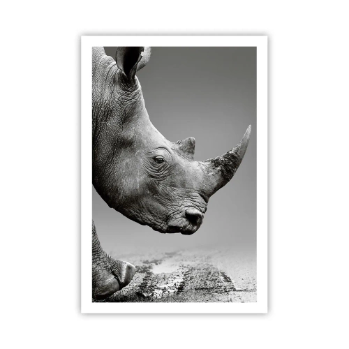 Plakat - Niepowstrzymana siła - 61x91 cm