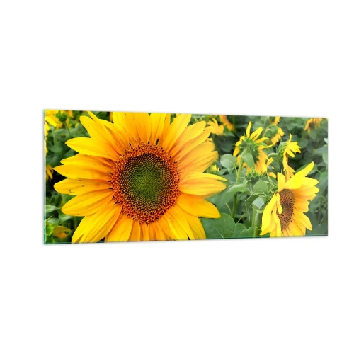 Obraz na szkle - Rozgorzały setki słońc - 100x40 cm