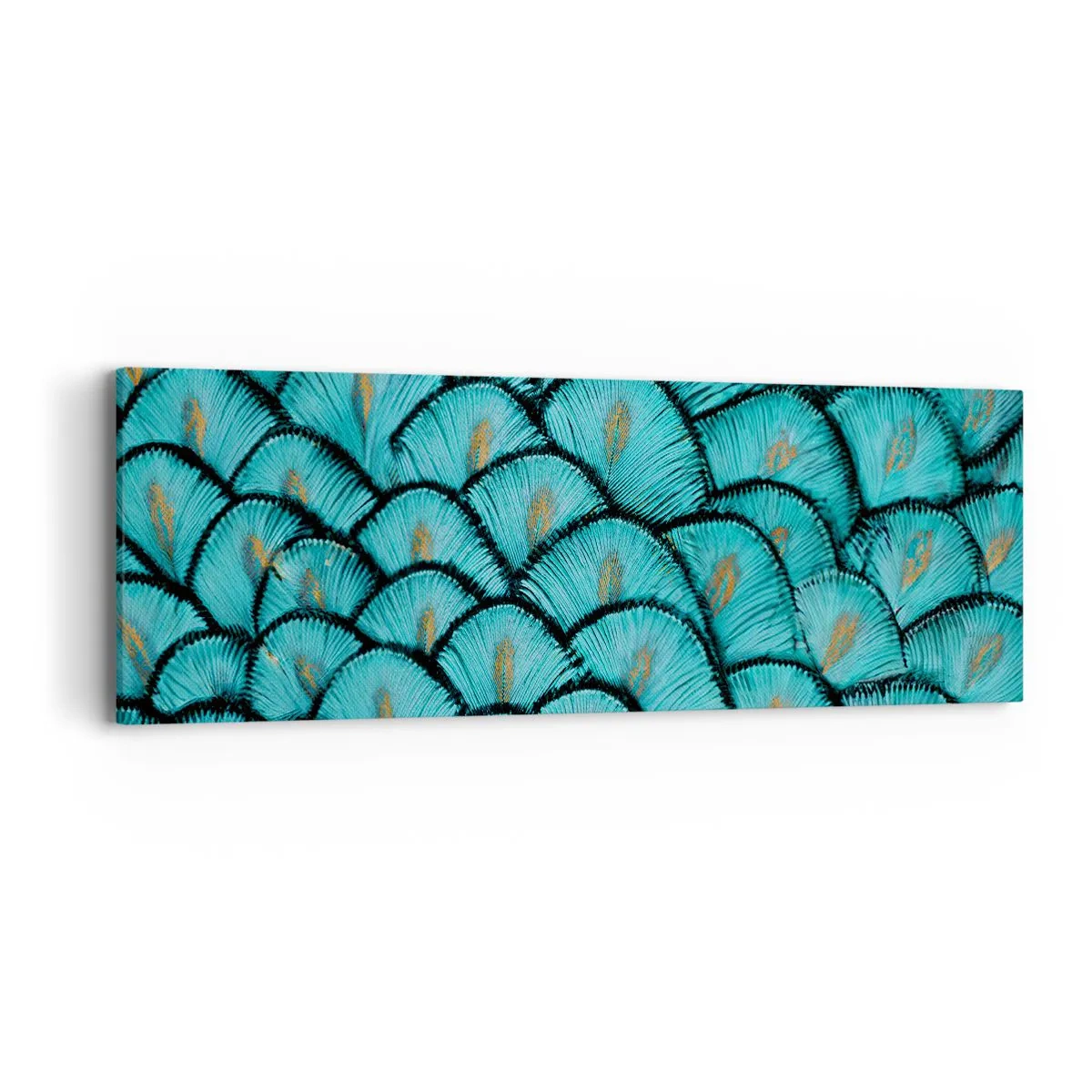 Obraz na płótnie - Wielka gala piór - 90x30 cm