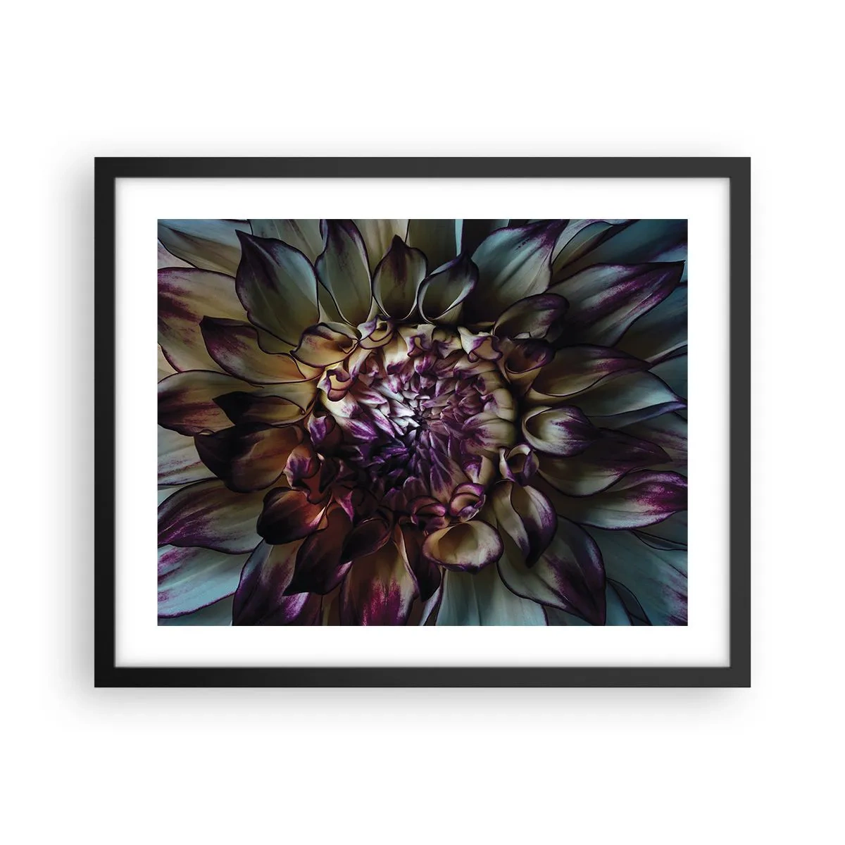 Plakat w czarnej ramie - Rozkwit młodości - 50x40 cm