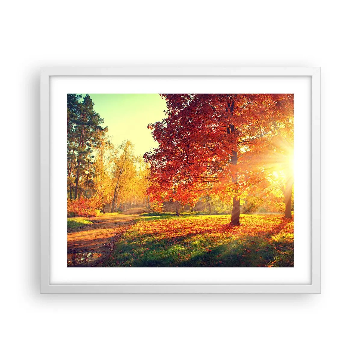 Plakat w białej ramie - Rude jest piękne - 50x40 cm