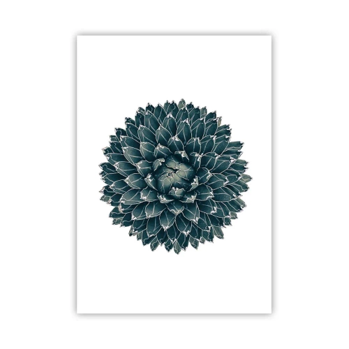 Plakat - Gwiazda pustyni - 70x100 cm