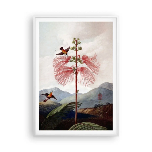 Plakat w białej ramie - W tropikalnym raju - 70x100 cm