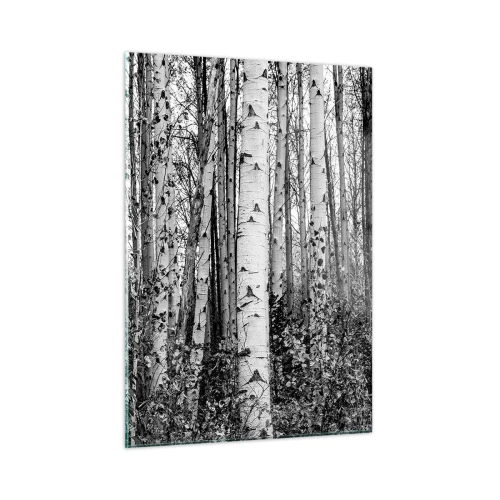 Obraz na szkle - Czarno-białe brzozy tworzące gęsty, leśny krajobraz - 50x70cm - Brzozowa kolumnada - Nowoczesna dekoracja ścienna do salonu, kuchni i sypialni ARTTOR