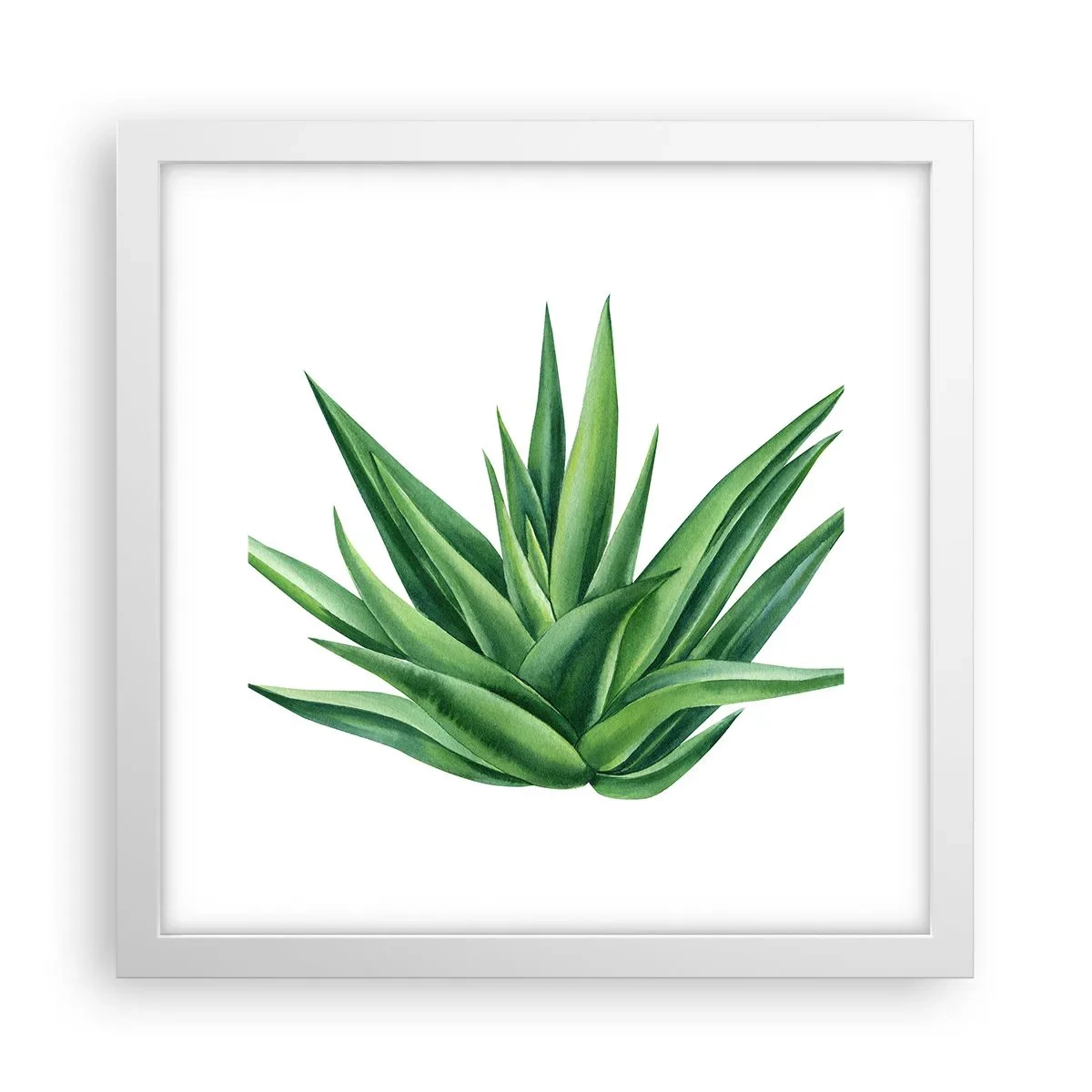 Plakat w białej ramie - Zieleń – siła – życie - 30x30 cm