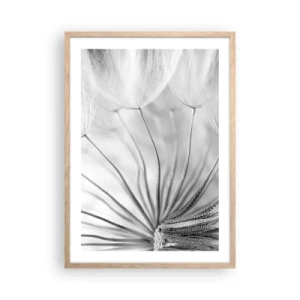 Plakat w ramie jasny dąb - Dmuchawce, latawce - 50x70 cm