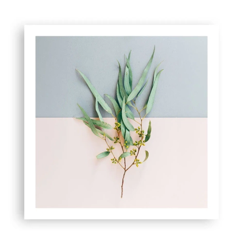 Plakat - Pastelowa subtelność - 60x60 cm