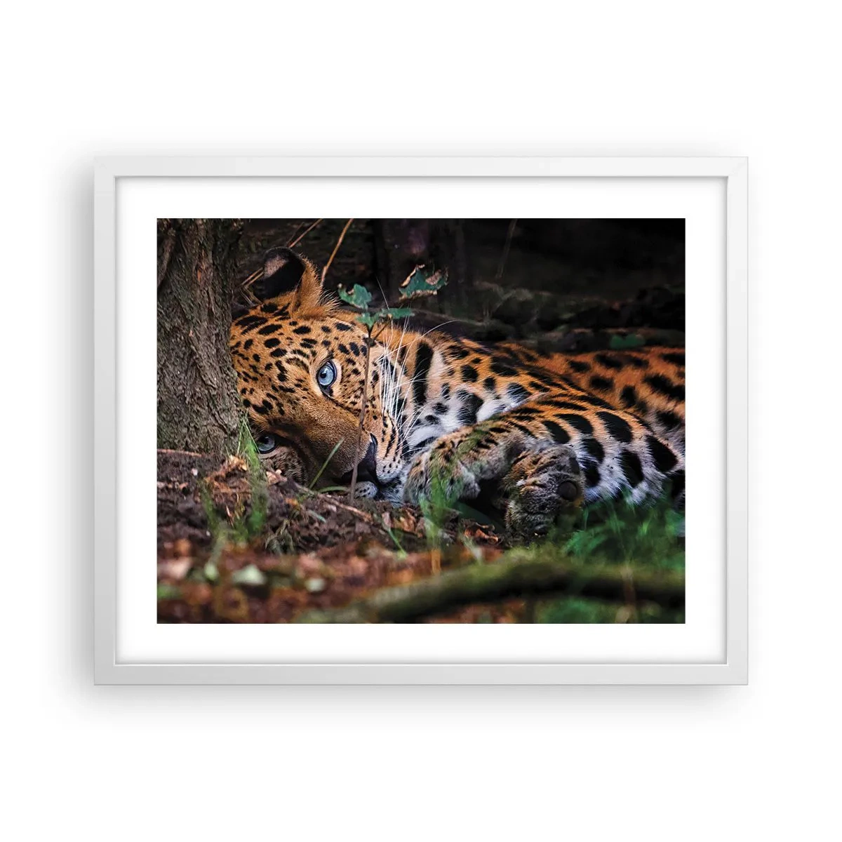 Plakat w białej ramie - Zaufaj mi - 50x40 cm