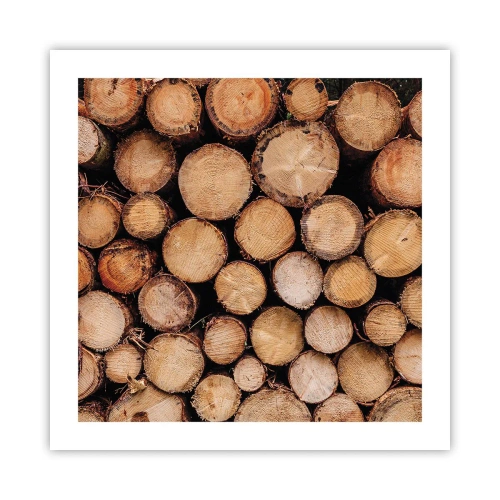 Plakat - Nowy początek - 50x50 cm