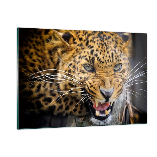 Obraz na szkle - Zbliżenie agresywnego lamparta z wyraźnymi detalami - 120x80cm - Nie podchodź, ostrzegam! - Nowoczesna dekoracja ścienna do salonu, kuchni i sypialni ARTTOR