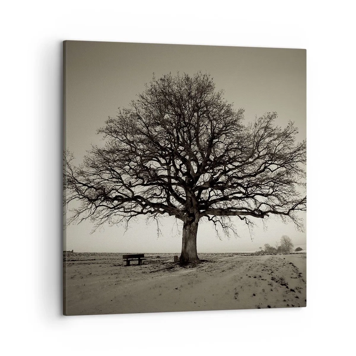 Obraz na płótnie - Stąd do wieczności - 50x50 cm