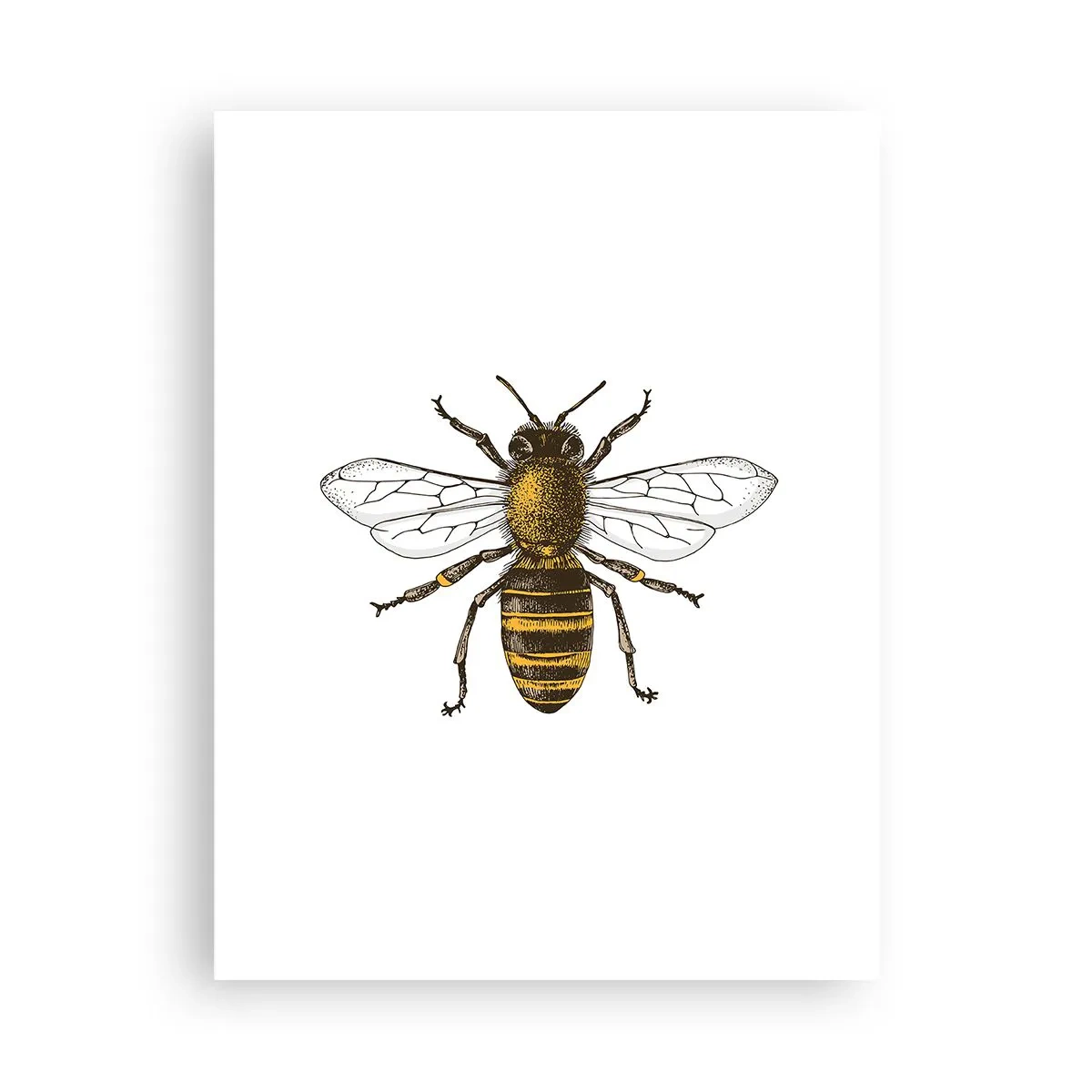 Plakat - Piękna i dobra - 30x40 cm