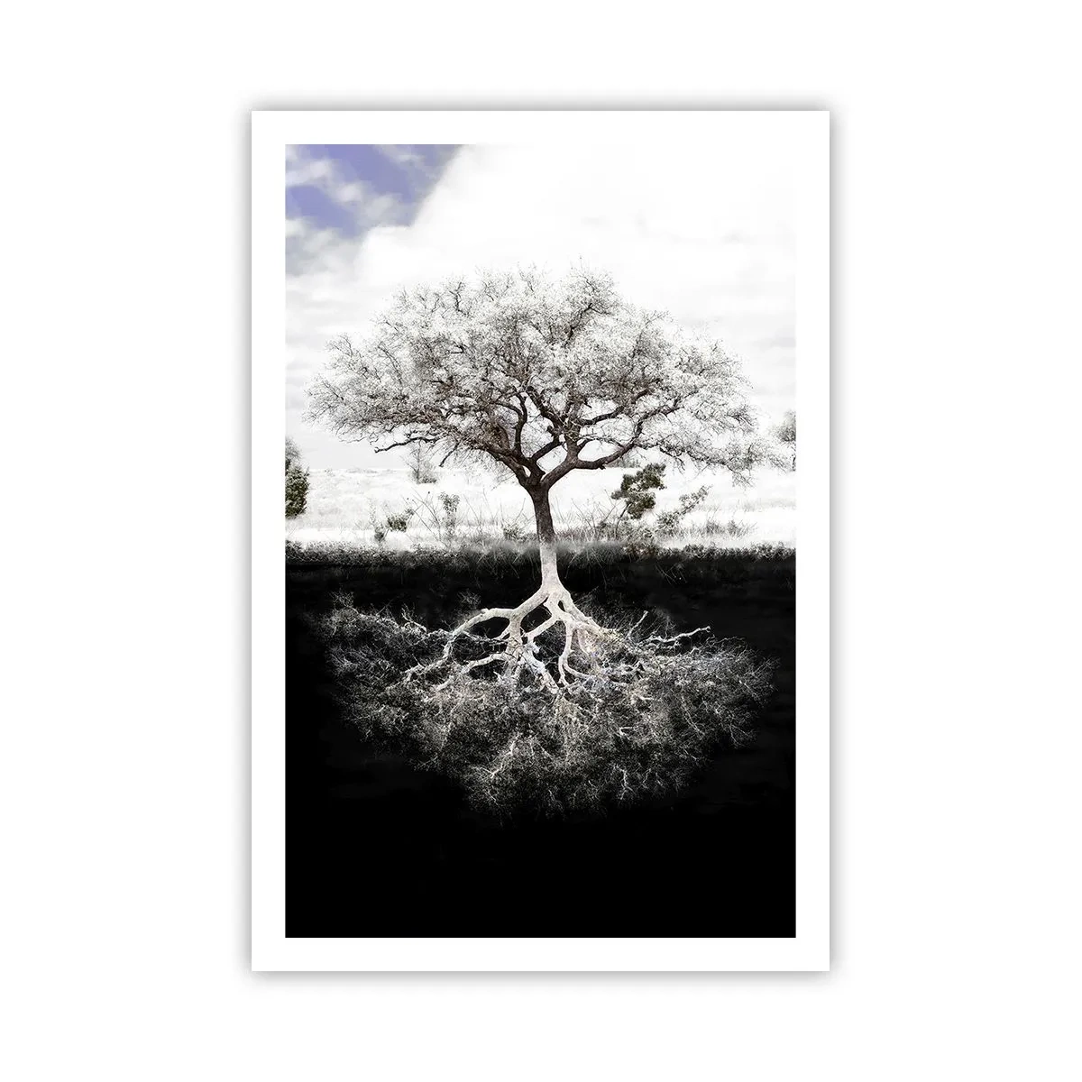 Plakat - Odkrycie natury świata - 61x91 cm