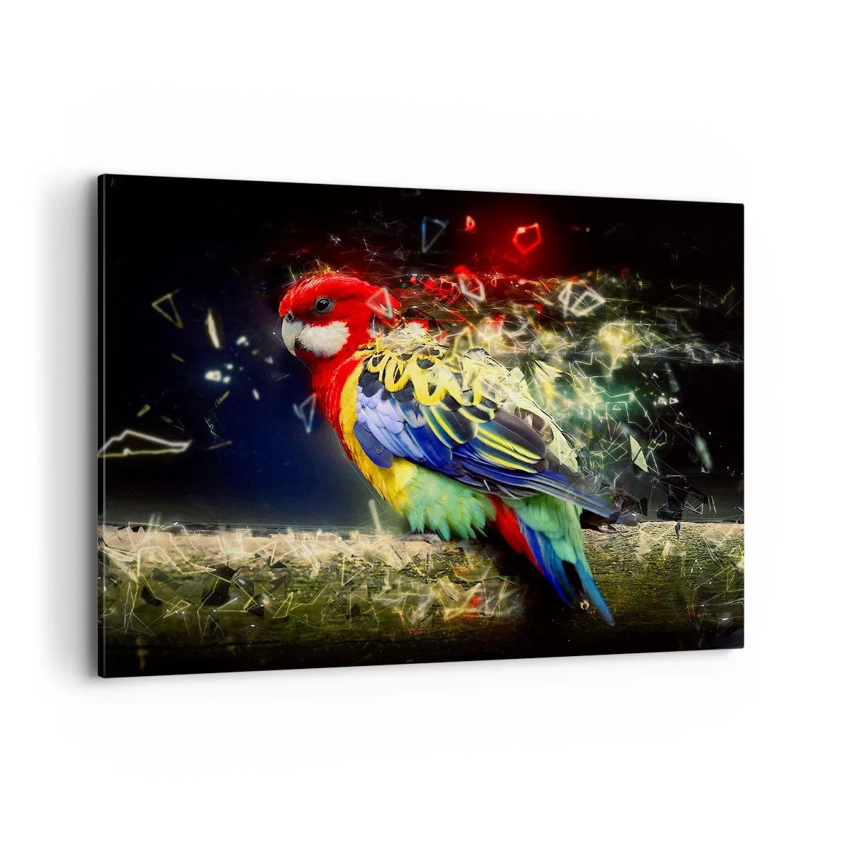 Obraz na płótnie - Papuga w żywych kolorach na tle efektów świetlnych - 100x70cm - Posłaniec blasku - Nowoczesna dekoracja ścienna do salonu, kuchni i sypialni ARTTOR