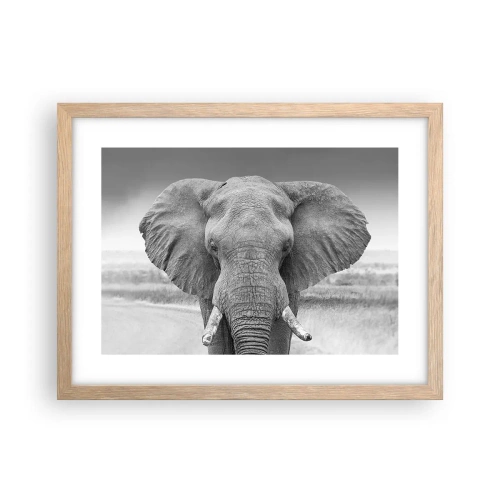 Plakat w ramie jasny dąb - Witaj w moim świecie - 40x30 cm