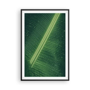 Plakat w czarnej ramie - Struktura zieleni - 61x91 cm
