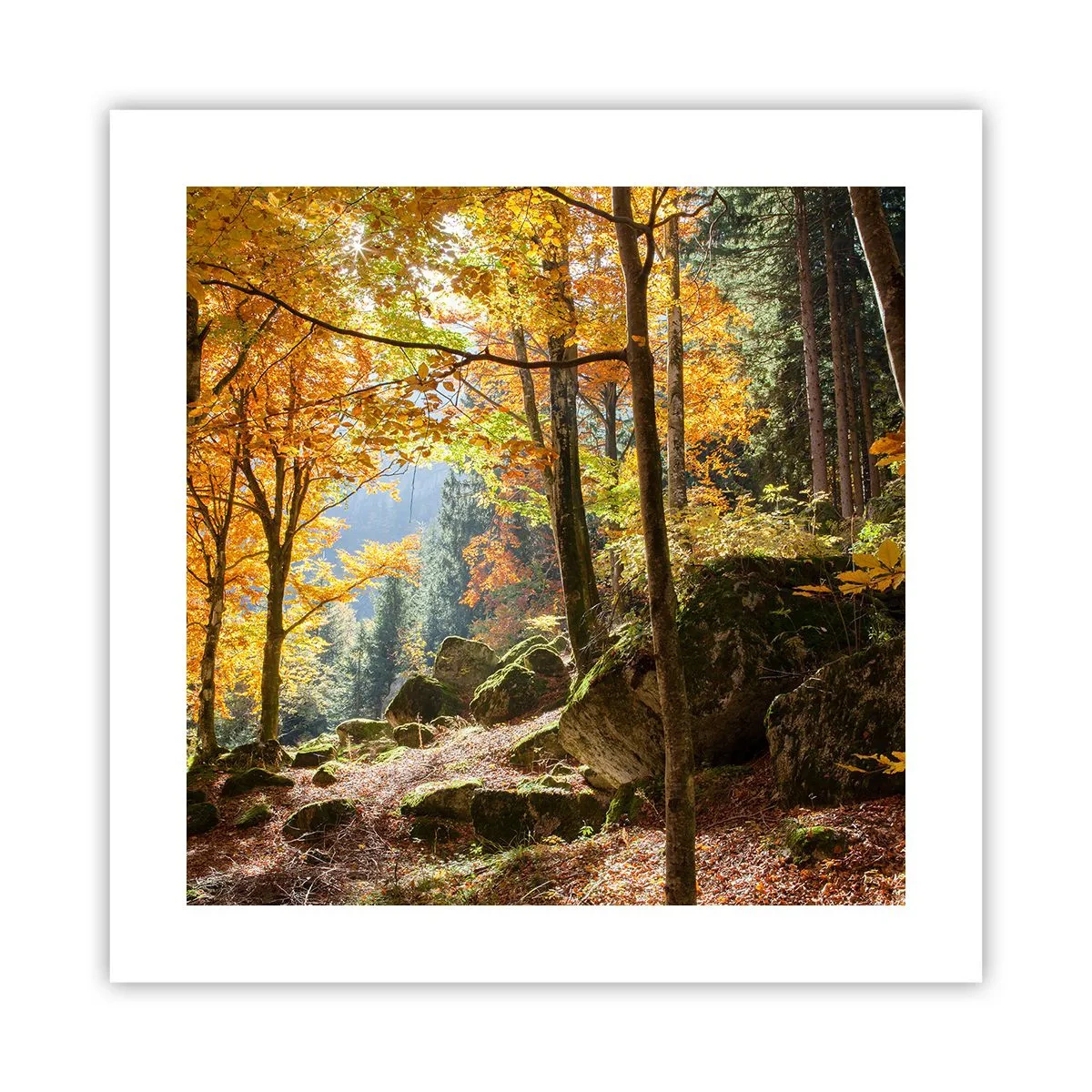 Plakat - Czas na odpoczynek - 40x40 cm