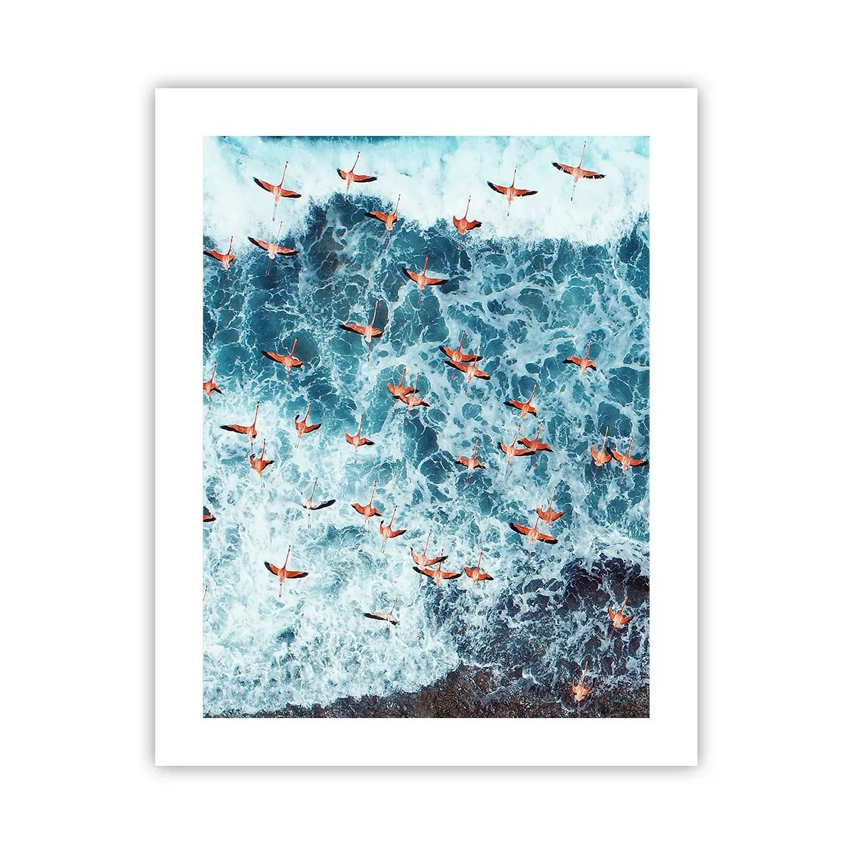 Plakat - Nadmorska parada - 40x50 cm