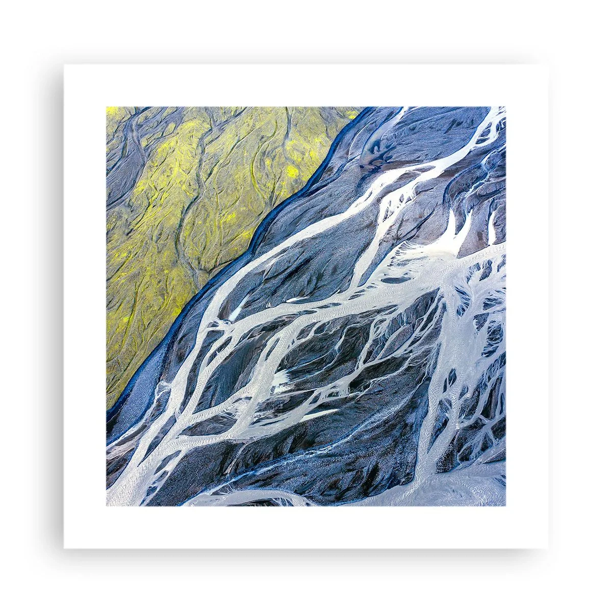 Plakat - Naskalne malowidła natury - 40x40 cm