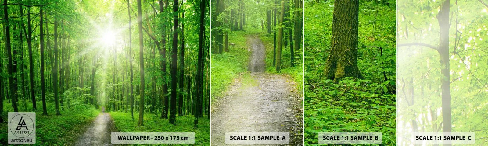 Fototapeta Próbka Standard Eco - Zielona katedra - Krajobraz, Las, Promienie Słońca - 100x30 cm