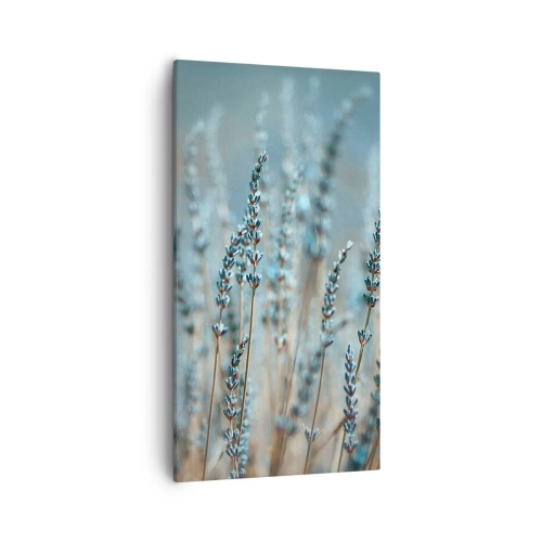 Obraz na płótnie - Pachnący łan - 55x100 cm