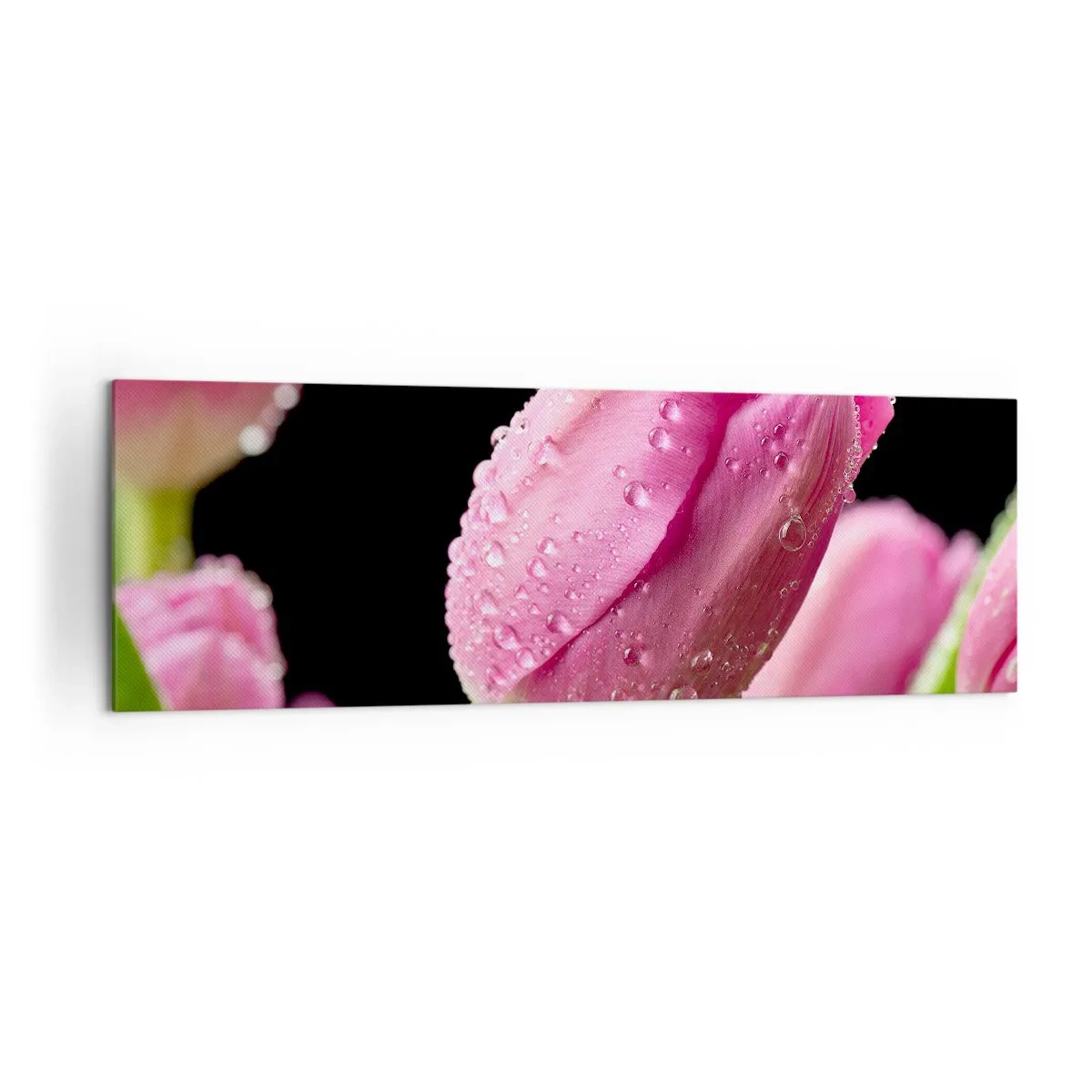 Obraz na płótnie - Różowy tulipan z kroplami wody na czarnym tle - 160x50cm - Liliowy sen w rosie - Nowoczesna dekoracja ścienna do salonu i sypialni ARTTOR