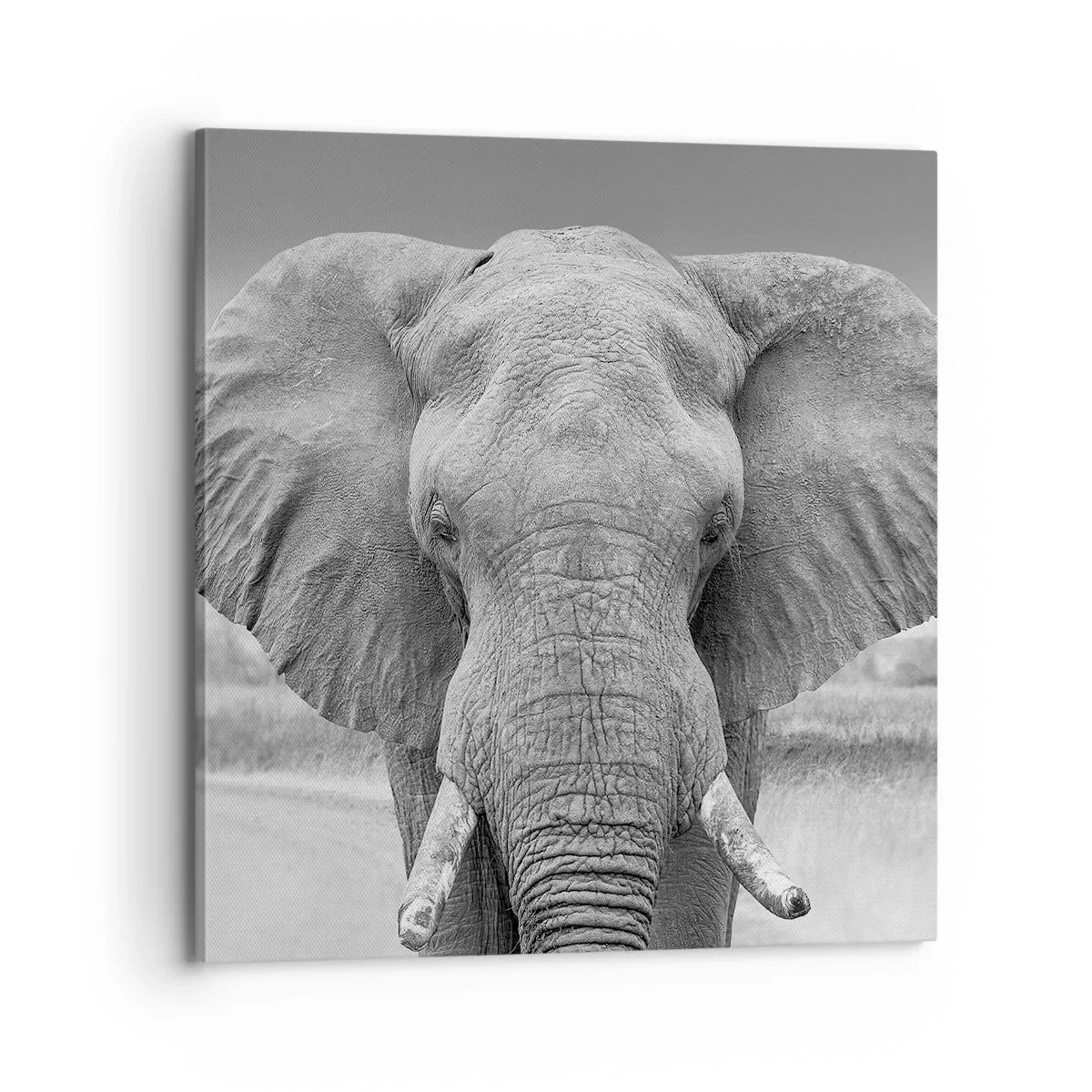 Obraz na płótnie - Witaj w moim świecie - 70x70 cm