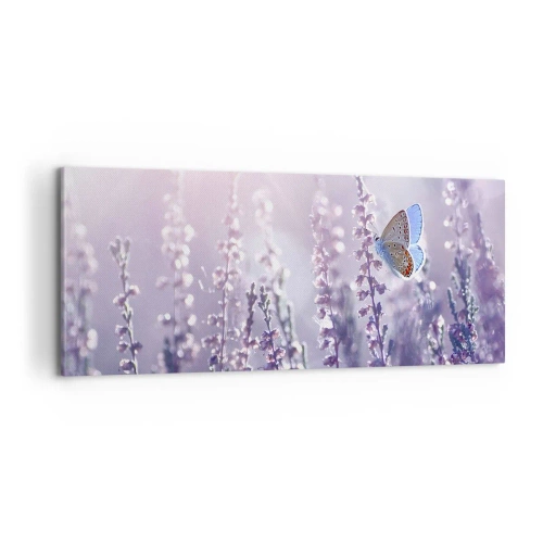 Obraz na płótnie - Pocałunek motyla - 100x40 cm