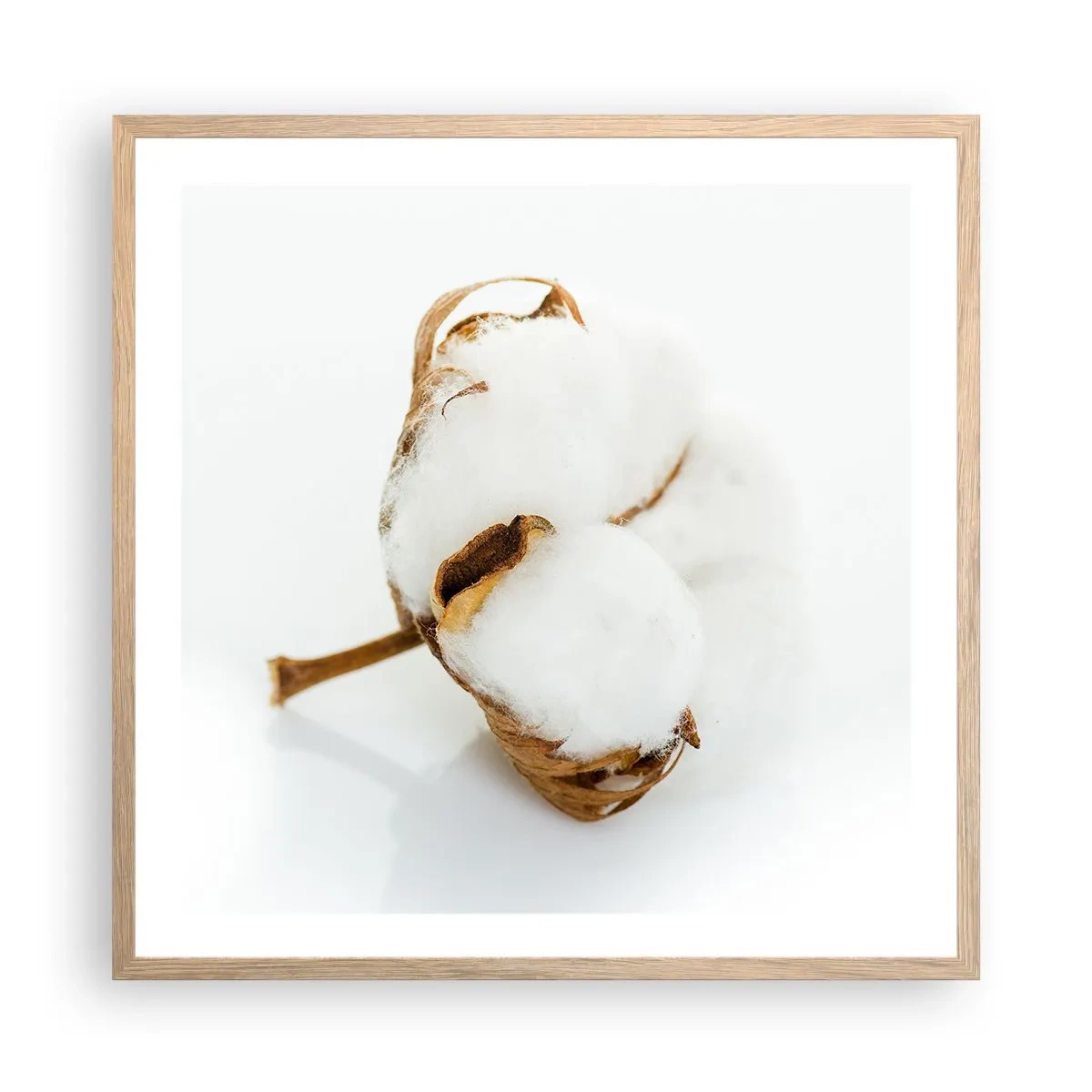 Plakat w ramie jasny dąb - Miękka z natury - 60x60 cm
