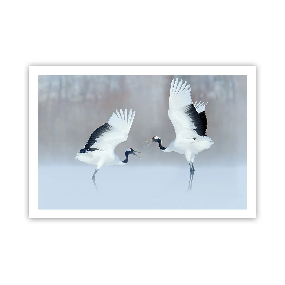 Plakat - Taniec we mgle - 91x61 cm