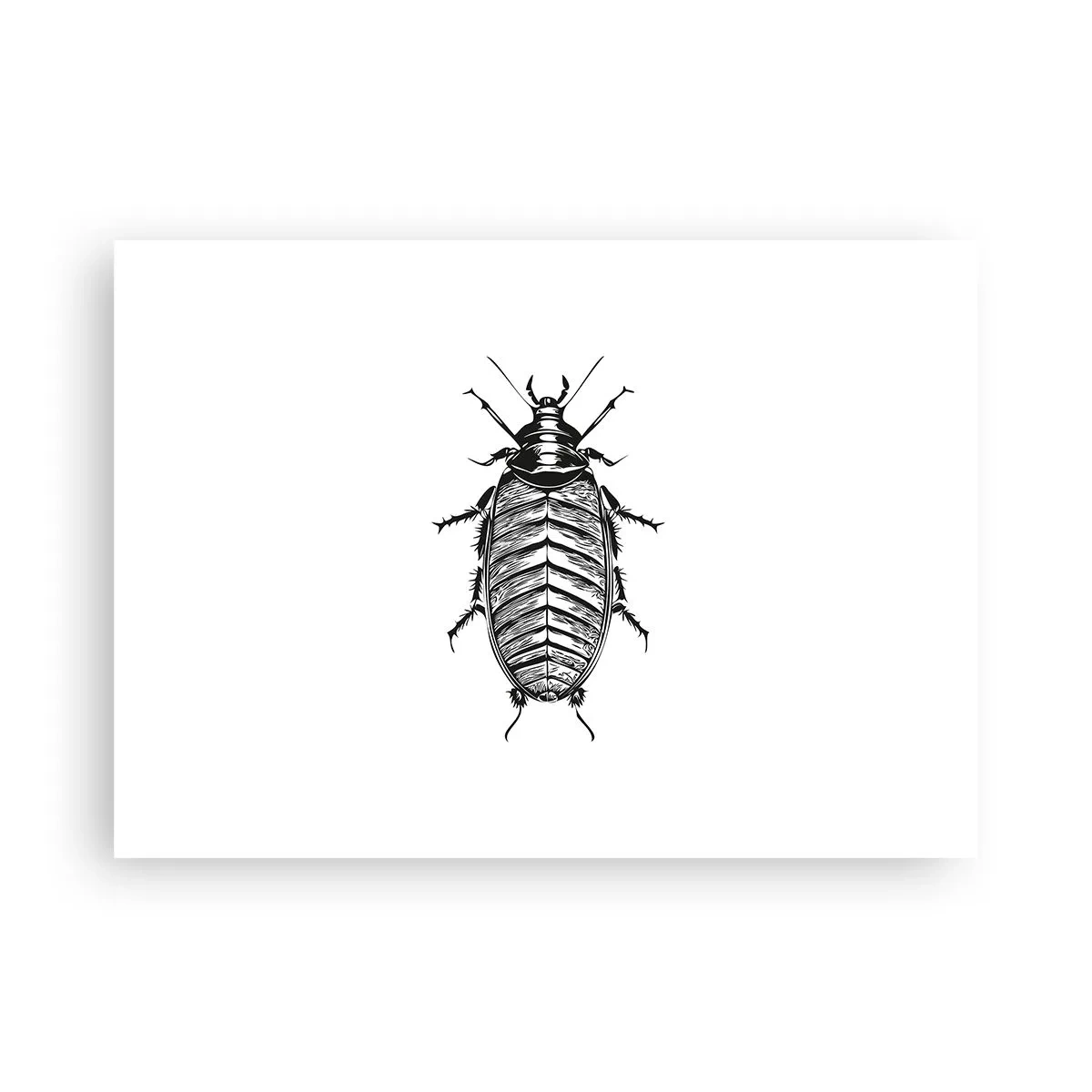 Plakat - Co za okaz! - 70x50 cm