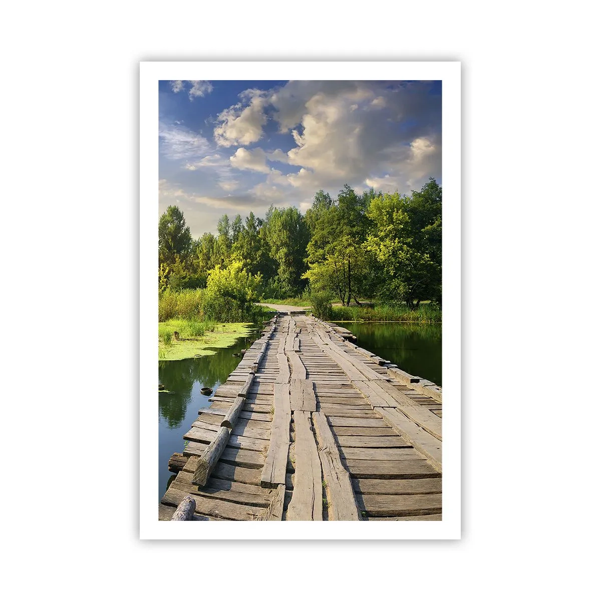 Plakat - Lato, lato wszędzie - 61x91 cm