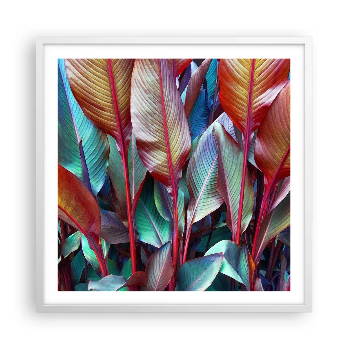 Plakat w białej ramie - Kolorowy gąszcz - 60x60 cm