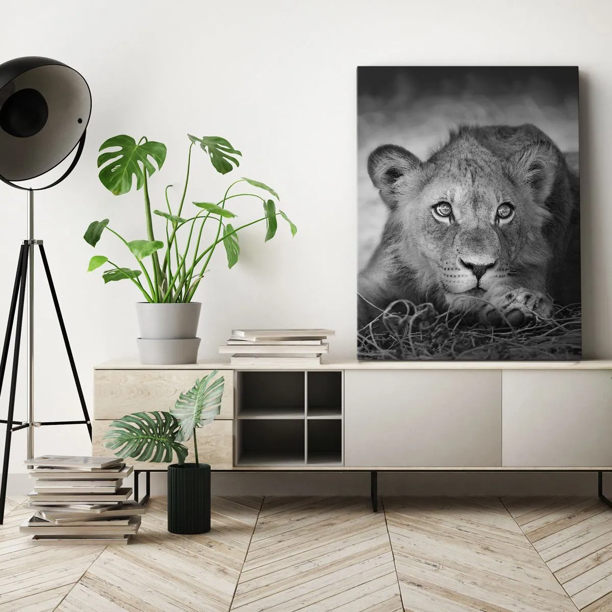 Obraz na płótnie - Młody lew odpoczywający na sawannie w czarno-białym ujęciu - 50x70cm - Królewskie szczenię - Nowoczesna dekoracja ścienna do salonu, kuchni i sypialni ARTTOR