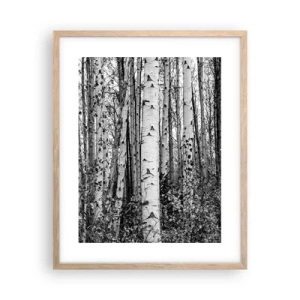 Plakat w ramie jasny dąb - Brzozowa kolumnada - 40x50 cm