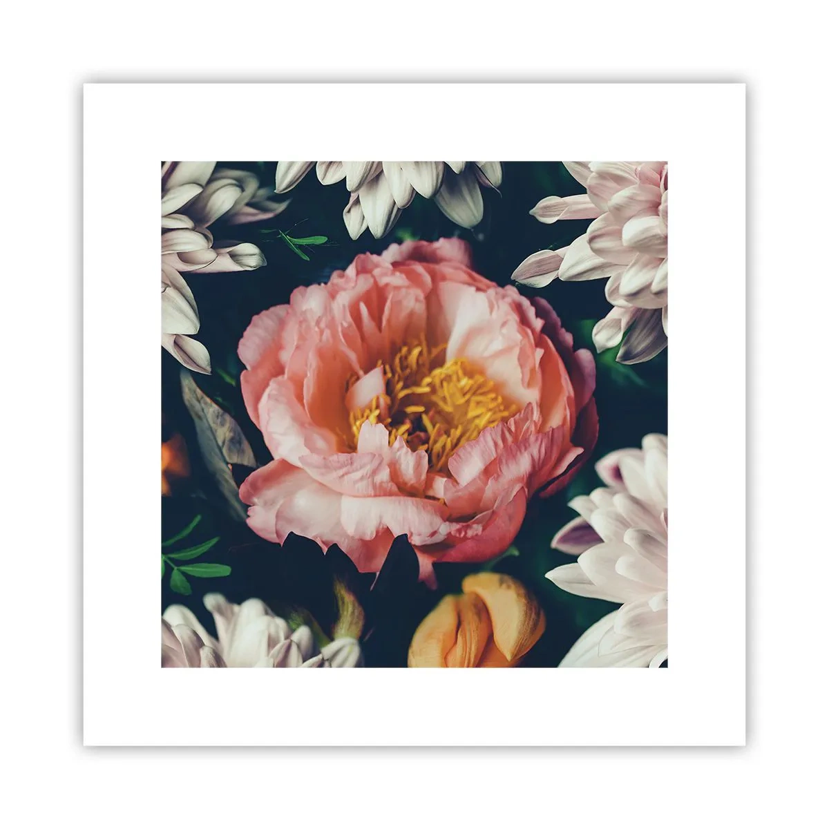 Plakat - Z barokowym przepychem - 30x30 cm