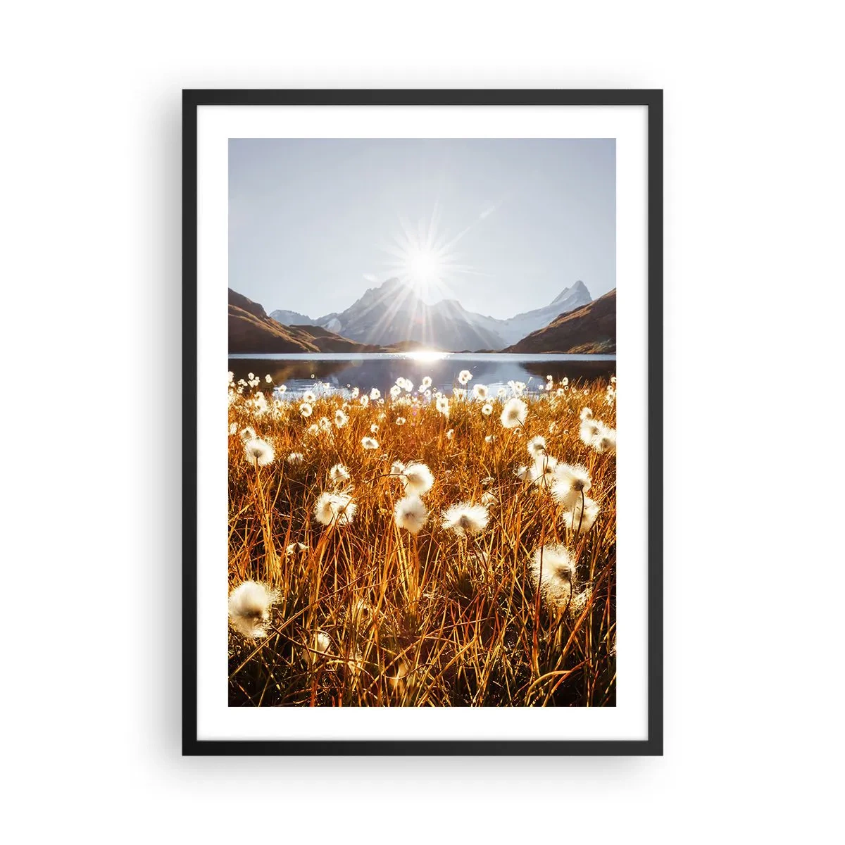 Plakat w czarnej ramie - Łąka z białymi kwiatami na tle jeziora i gór o zachodzie słońca - 50x70cm - Twardość skał, miękkość traw - Nowoczesna dekoracja ścienna do salonu i sypialni ARTTOR