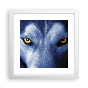 Plakat w białej ramie - Hipnotyzujące spojrzenie - 30x30 cm
