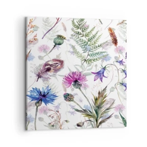 Obraz na płótnie - Polski zielnik - 50x50 cm