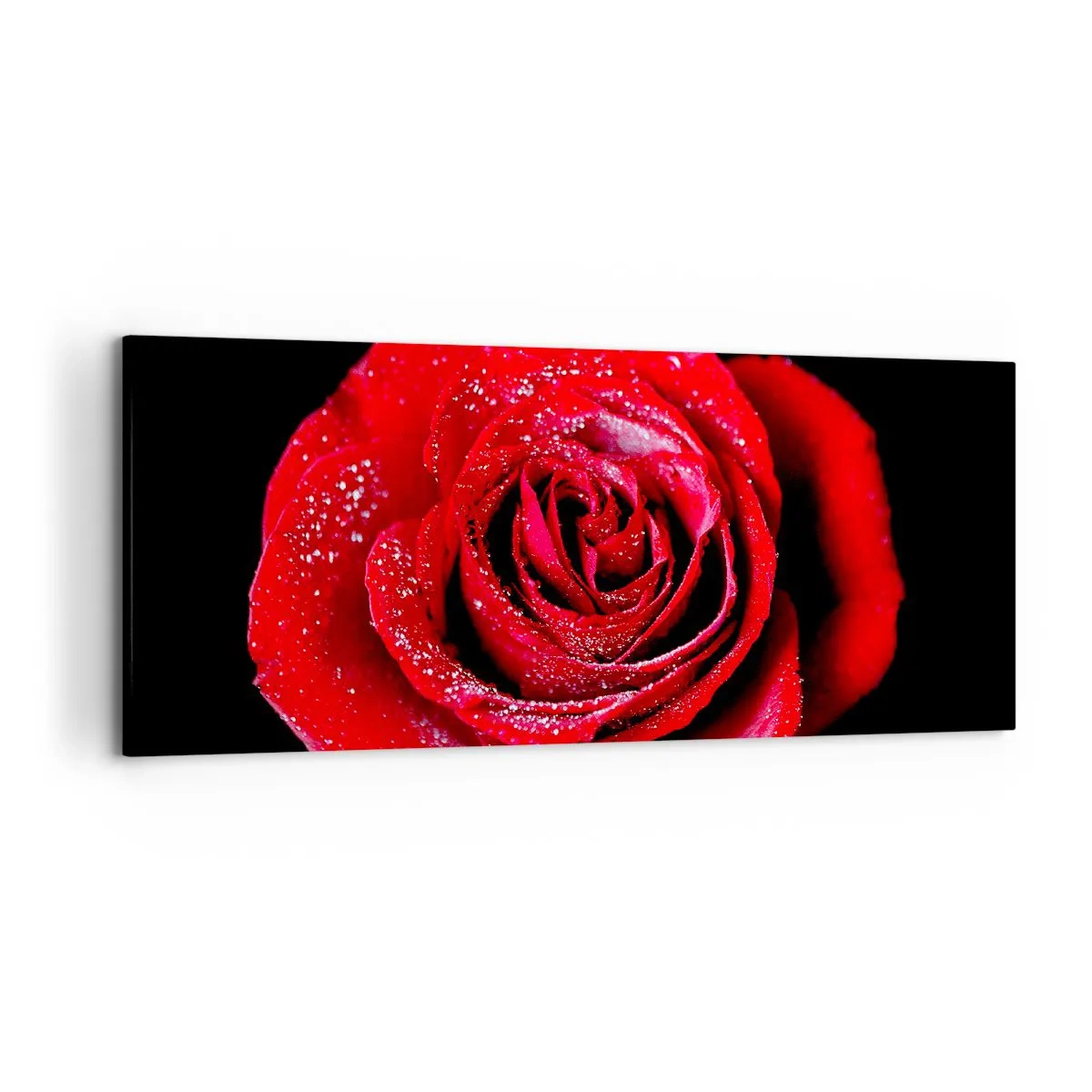 Obraz na płótnie - Czerwona róża pokryta kroplami rosy na czarnym tle. - 120x50cm - To właśnie miłość - Nowoczesna dekoracja ścienna do salonu i sypialni ARTTOR