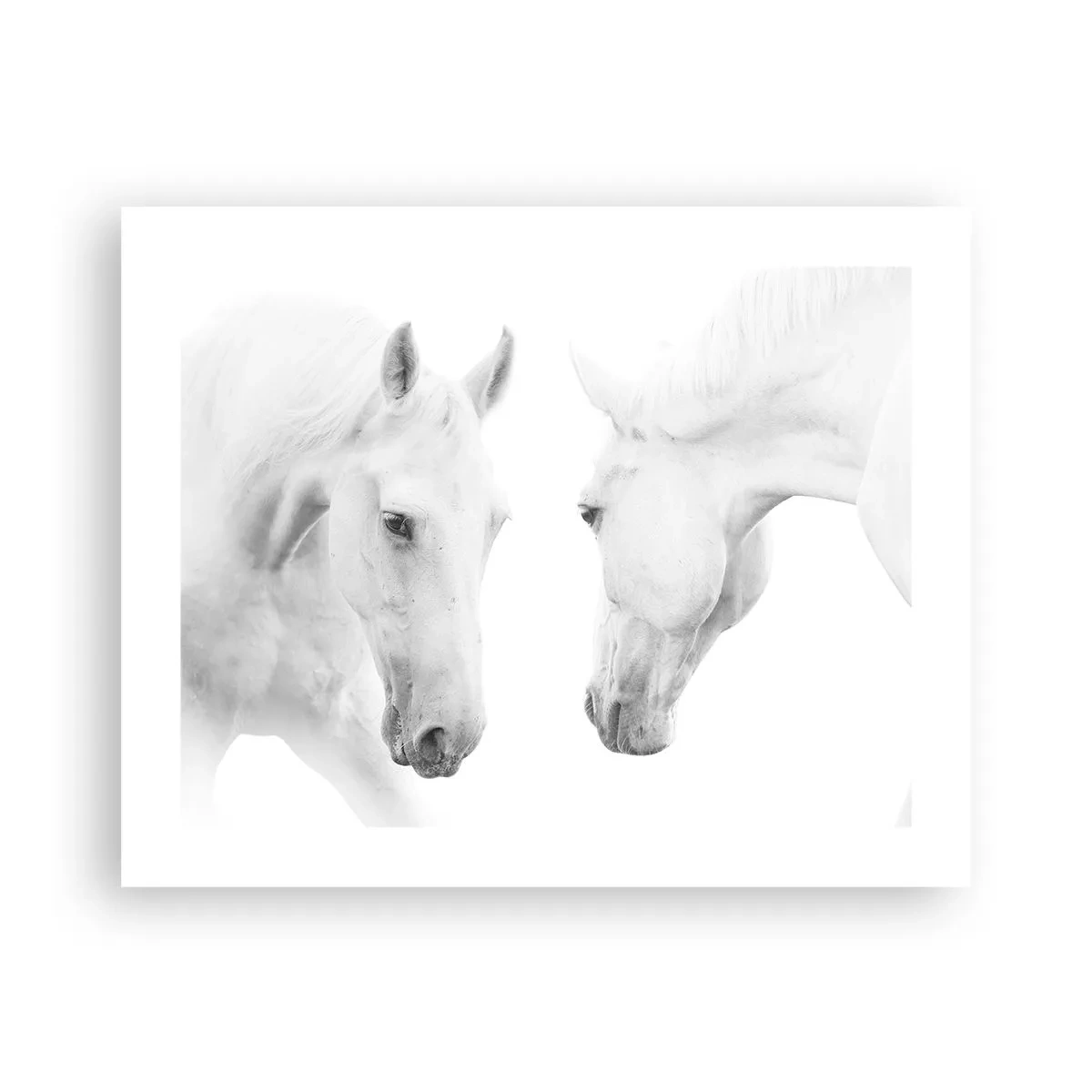 Plakat - Czy to jest przyjaźń…? - 50x40 cm