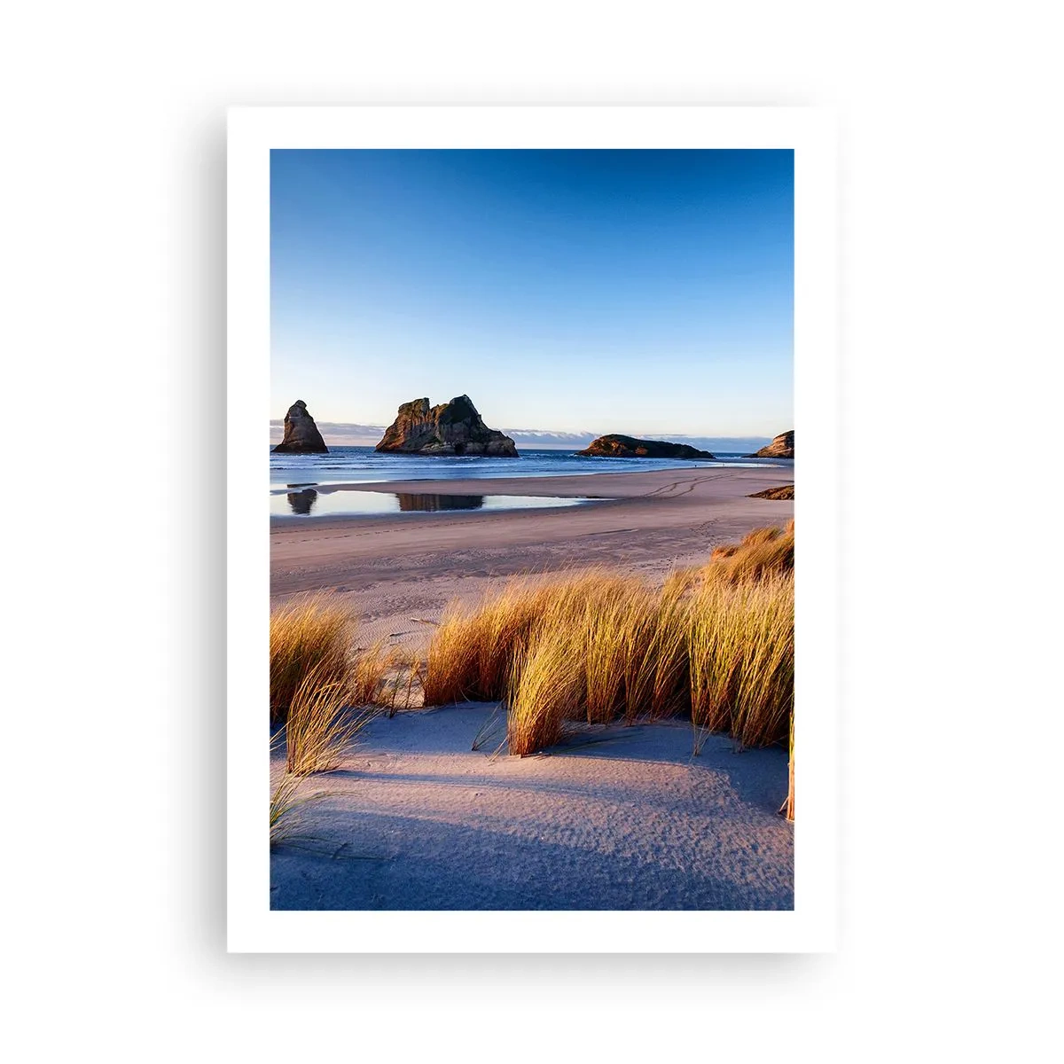 Plakat - Malownicza plaża z trawami i skałami na tle spokojnego oceanu - 50x70cm - Dla poszukiwaczy spokoju - Nowoczesna dekoracja ścienna do salonu, kuchni i sypialni ARTTOR