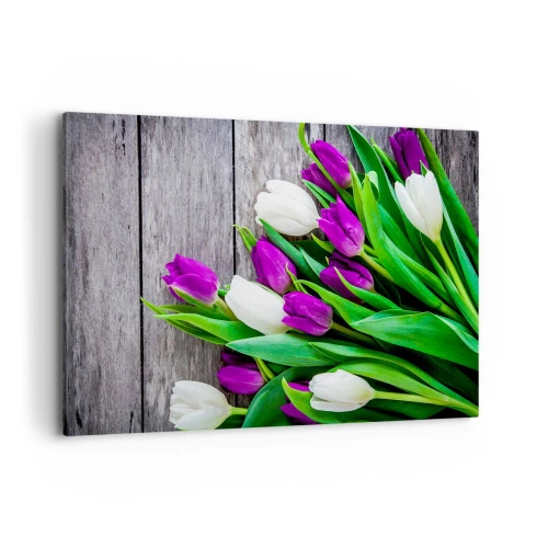 Obraz na płótnie - Bukiet fioletowych i białych tulipanów na drewnianym tle - 120x80cm - W dniu wiosennego święta - Nowoczesna dekoracja ścienna do salonu, kuchni i sypialni ARTTOR