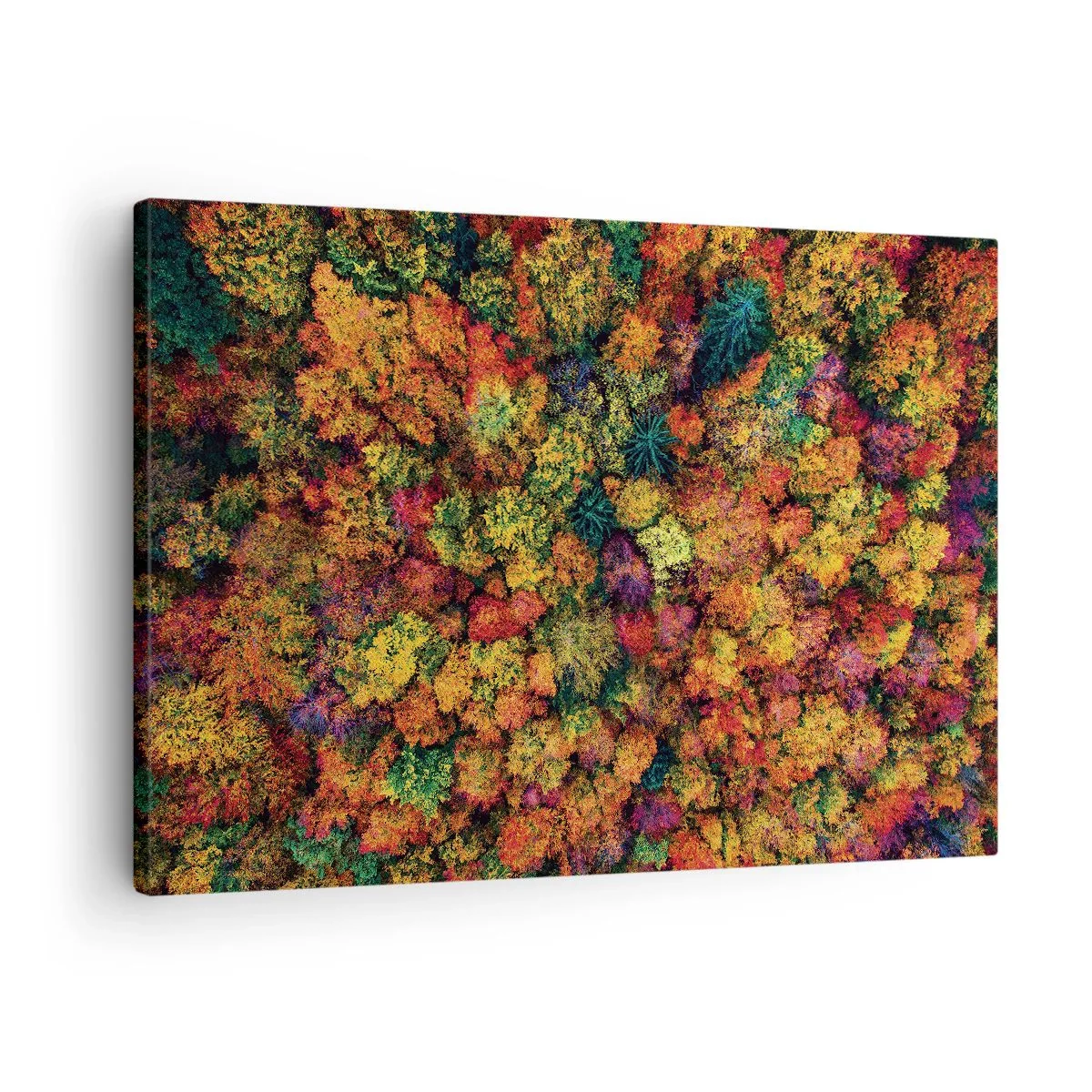 Obraz na płótnie - Kolorowe korony drzew w jesiennej palecie barw - 70x50cm - Bukiet jesiennych drzew - Nowoczesna dekoracja ścienna do salonu i sypialni ARTTOR