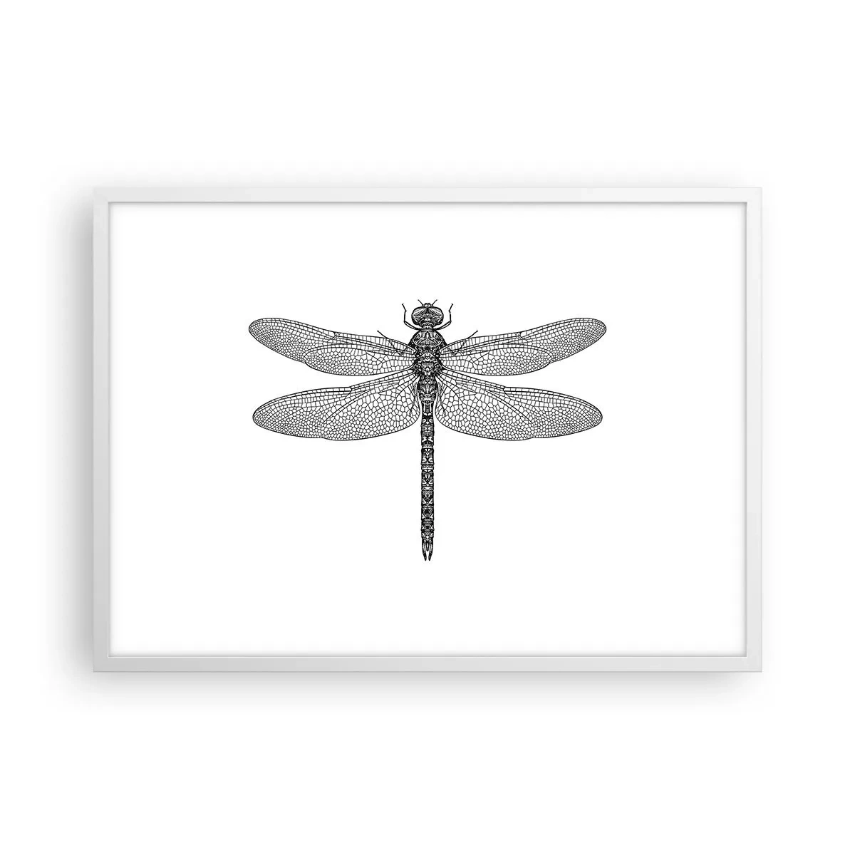 Plakat w białej ramie - Precyzja natury - 70x50 cm