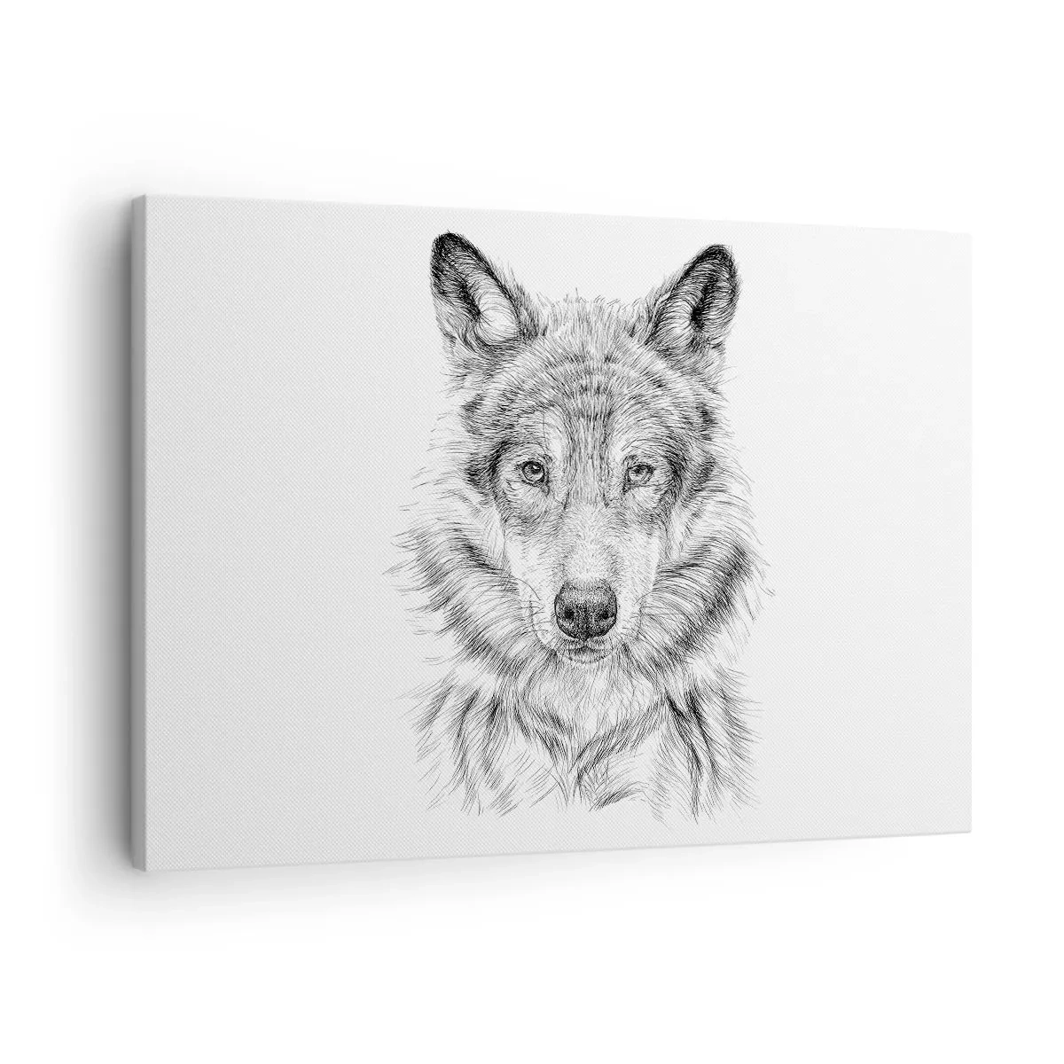 Obraz na płótnie - Szkic głowy wilka w monochromatycznym stylu na białym tle - 70x50cm - Urodzony przywódca - Nowoczesna dekoracja ścienna do salonu i sypialni ARTTOR
