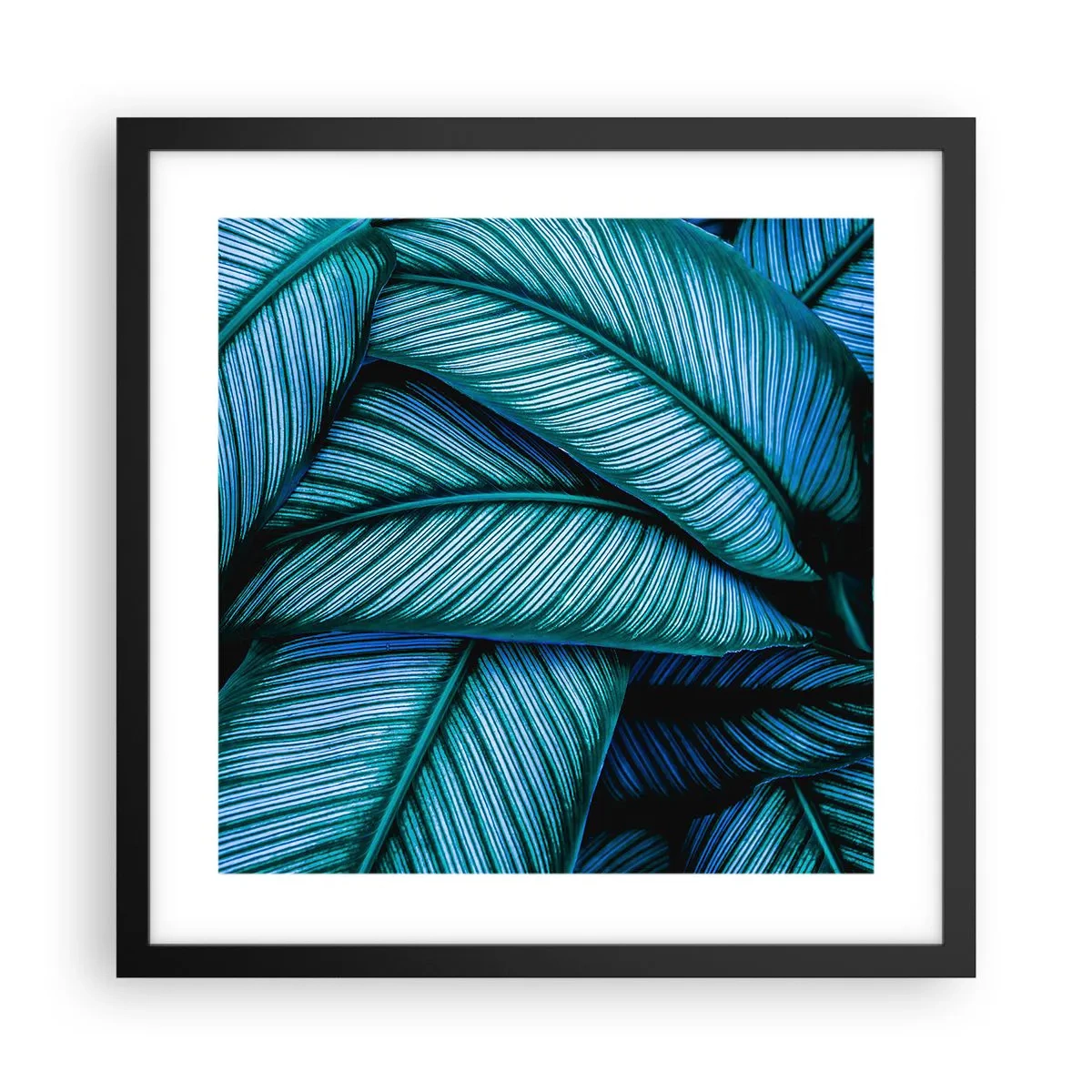 Plakat w czarnej ramie - Linie życia - 40x40 cm